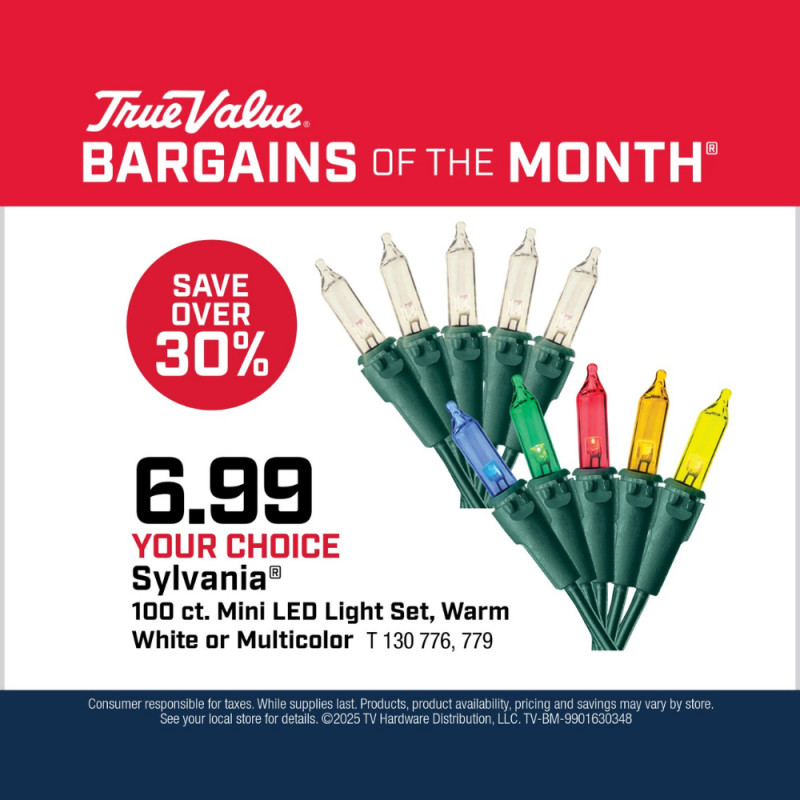 Your Choice Sylvania® 100 ct. Mini LED Light Set $6.99