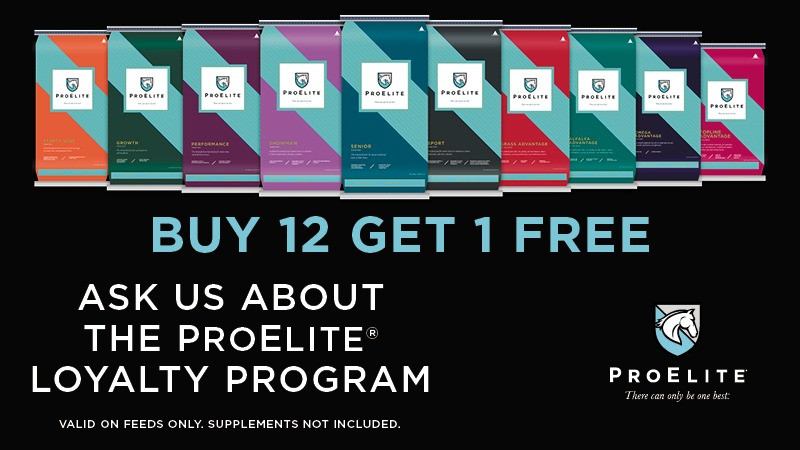 Buy 12, Get 1 Free ProElite® Horse Feeds