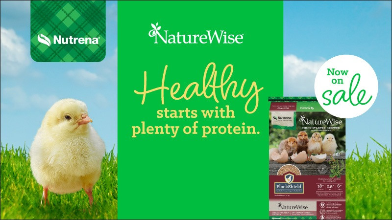 Nutrena® Chick Days Sale