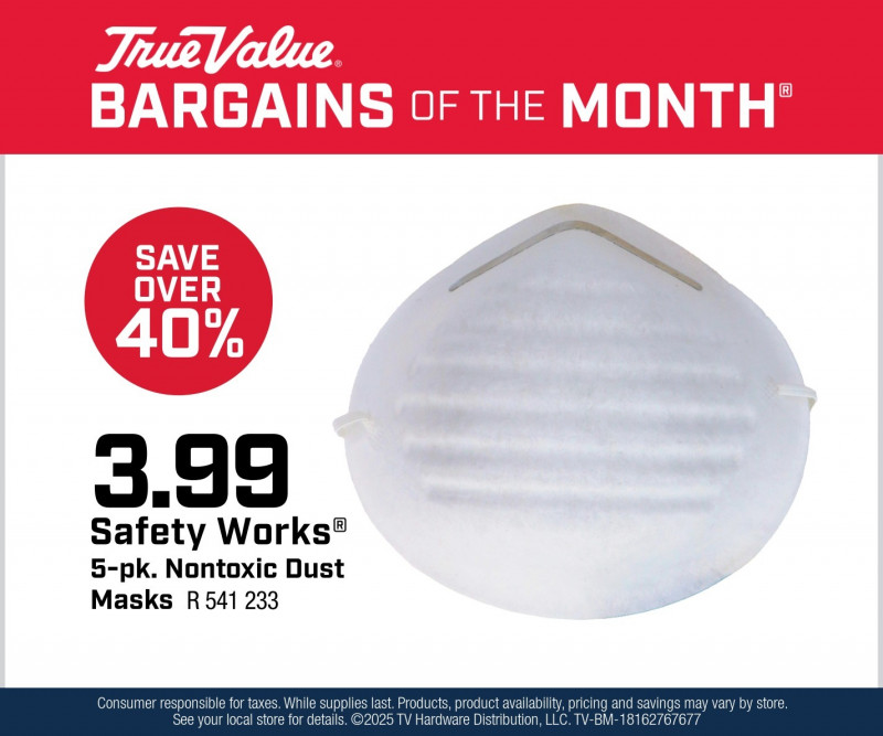 Safety Works® 5-pk. Nontoxic Dust Masks $3.99