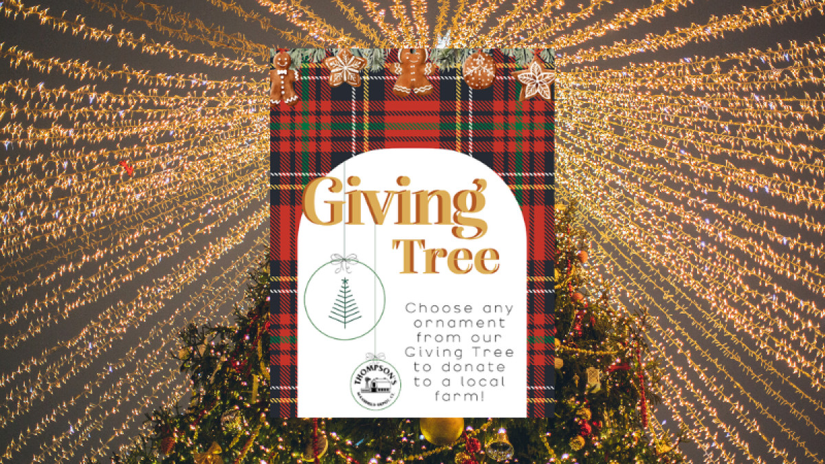 Giving Tree