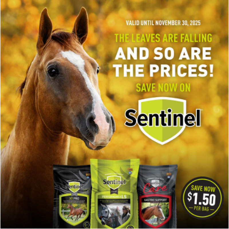 $1.50 on Sentinel Bags