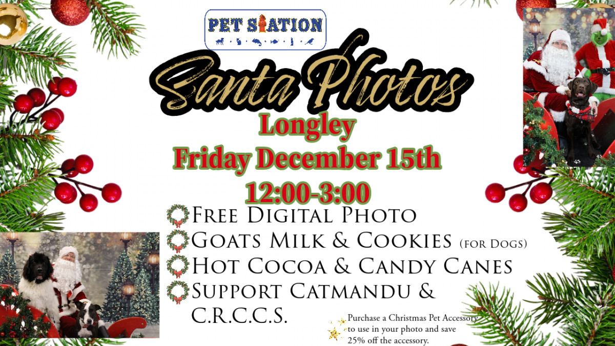 FREE Santa Photos