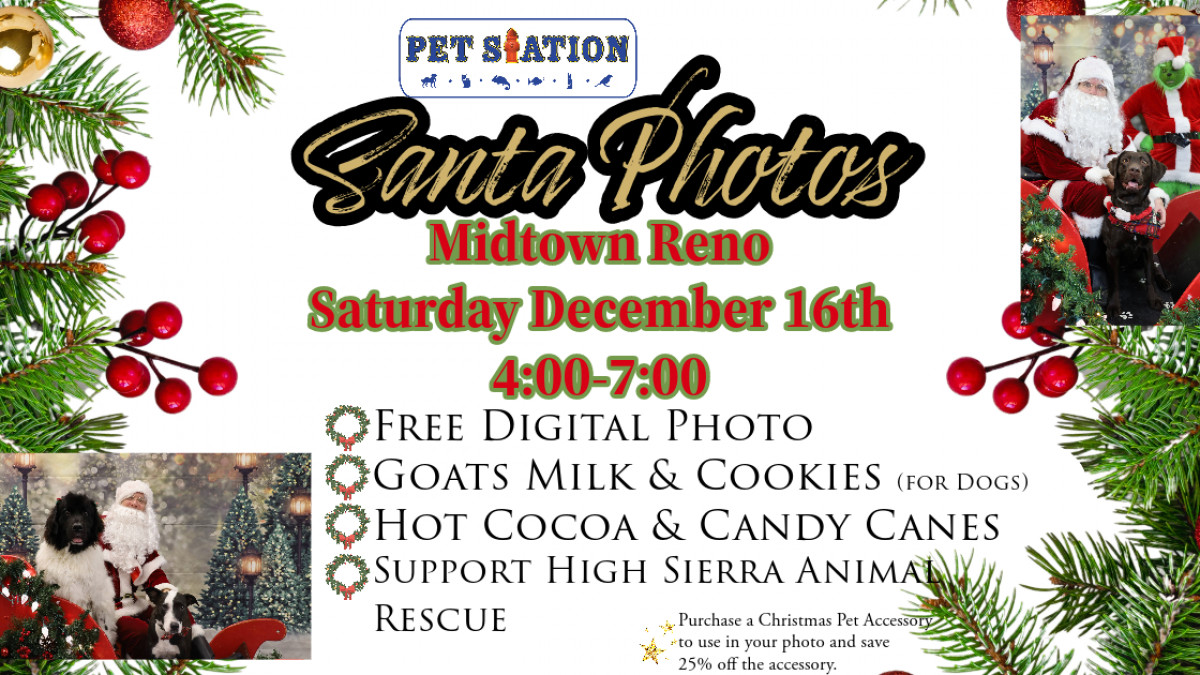 FREE Santa Photos