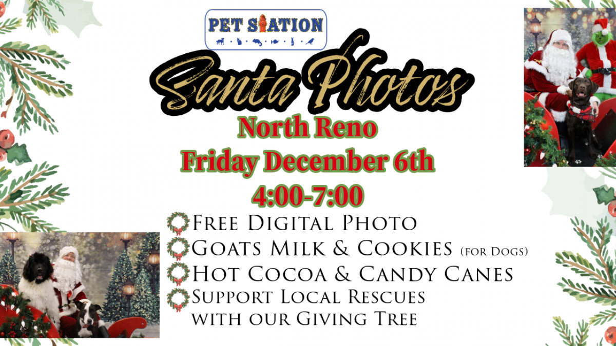 FREE Santa Photos