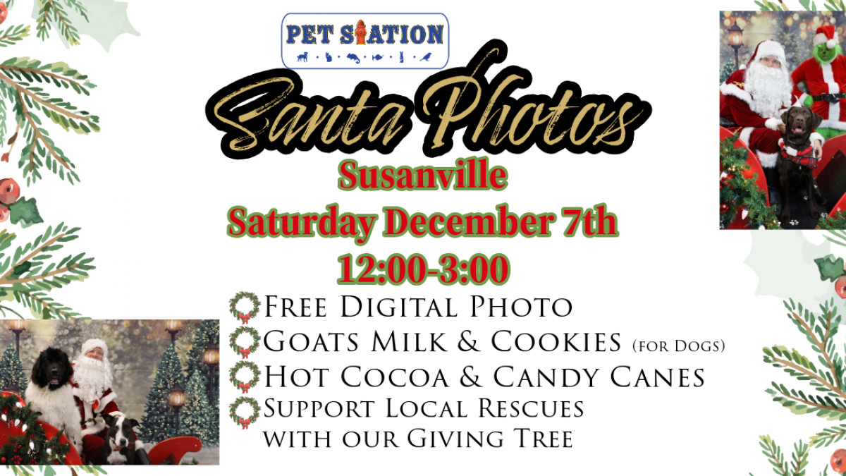 FREE Santa Photos