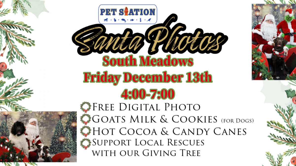 FREE Santa Photos