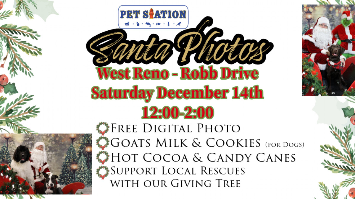FREE Santa Photos