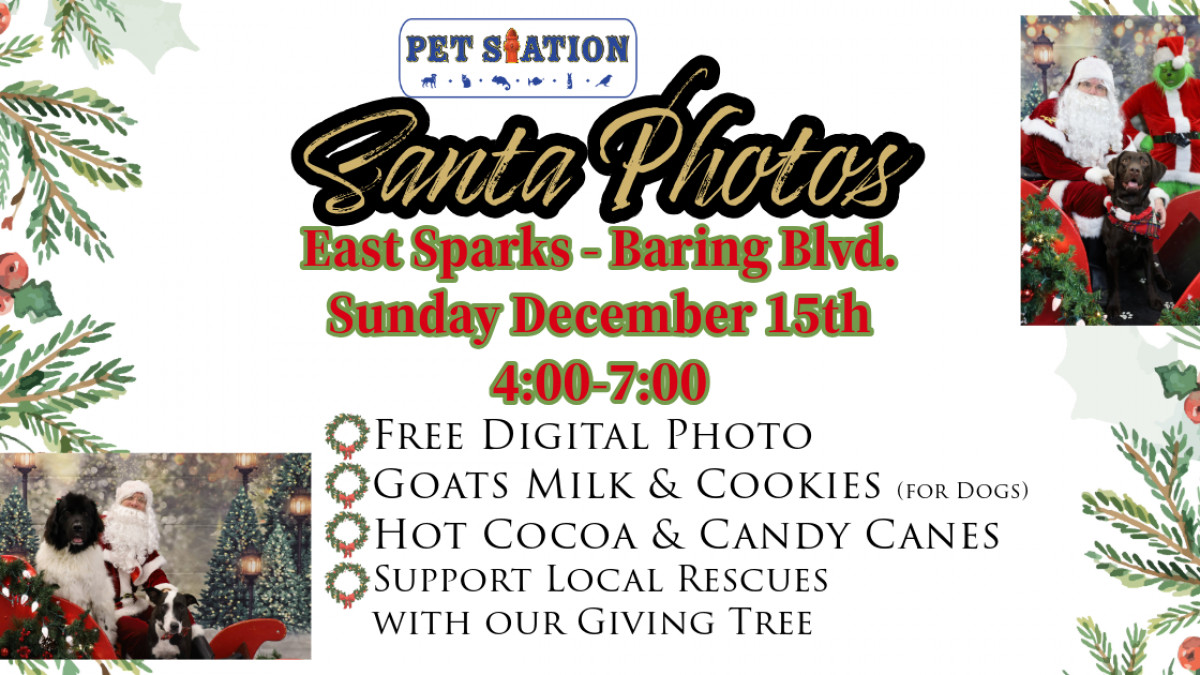 FREE Santa Photos