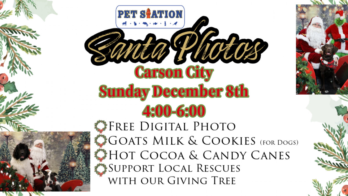 FREE Santa Photos