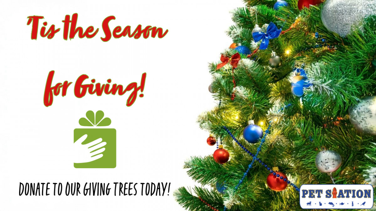 Giving Trees