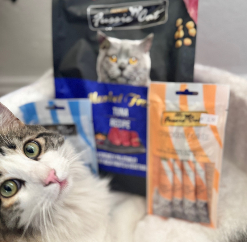 🐾 Fussy Cat Giveaway at Pet Station