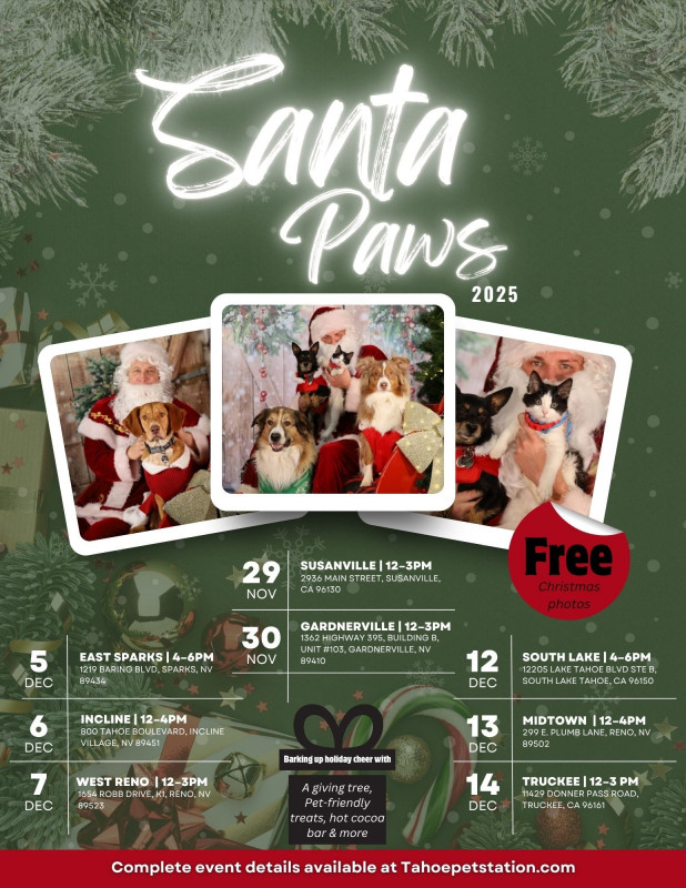 🎅🐾 Santa Paws 2025 – Free Holiday Pet Photos!