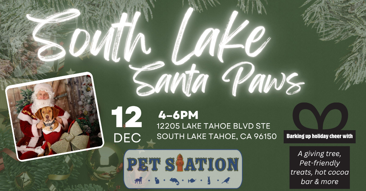 Santa Paws 2025 - South Lake Tahoe