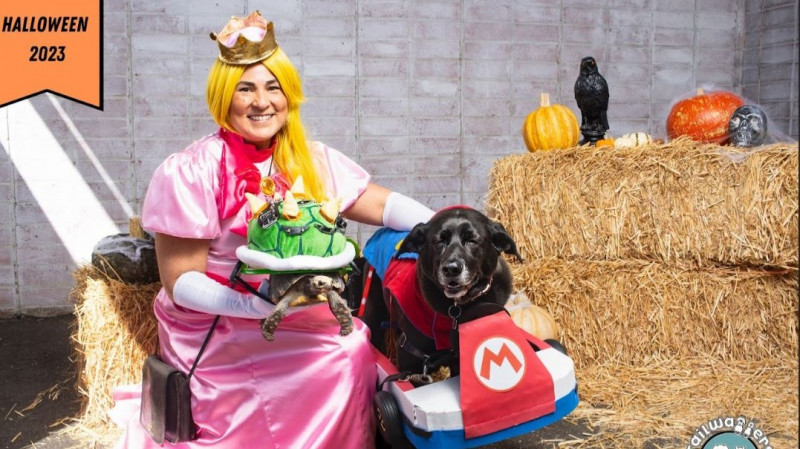 Tailwaggers Annual Halloween "Pupper Treat and Pet Costume Contest"