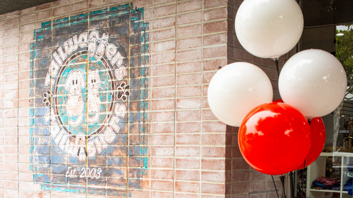 Tailwaggers 20th Anniversary Carnival 2023