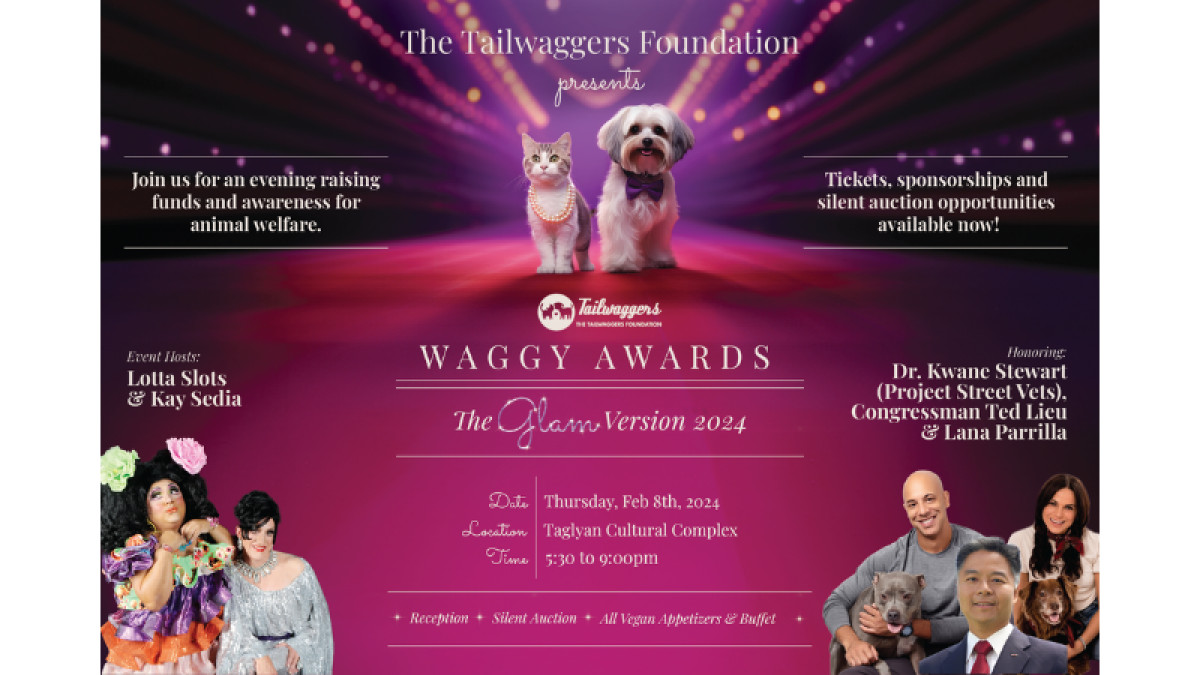 2024 Tailwaggers Waggy Awards!