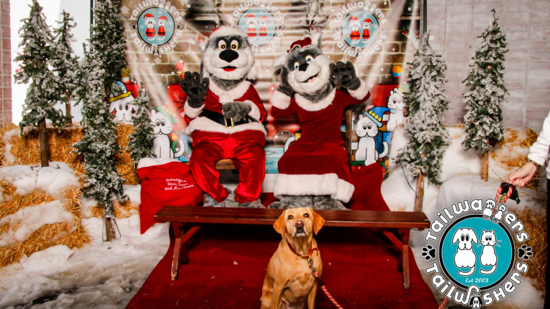 Tailwaggers "Santa Paws & Mrs. Claws" Holiday Celebration