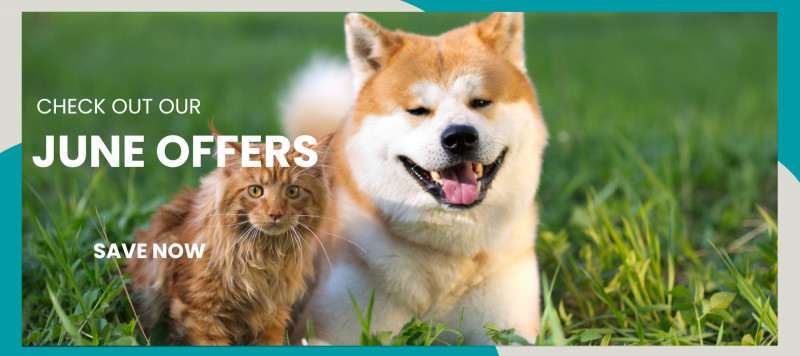 June Newsletter