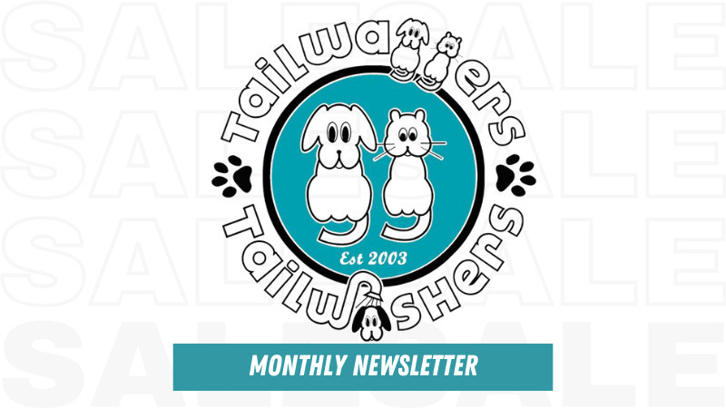 September Newsletter