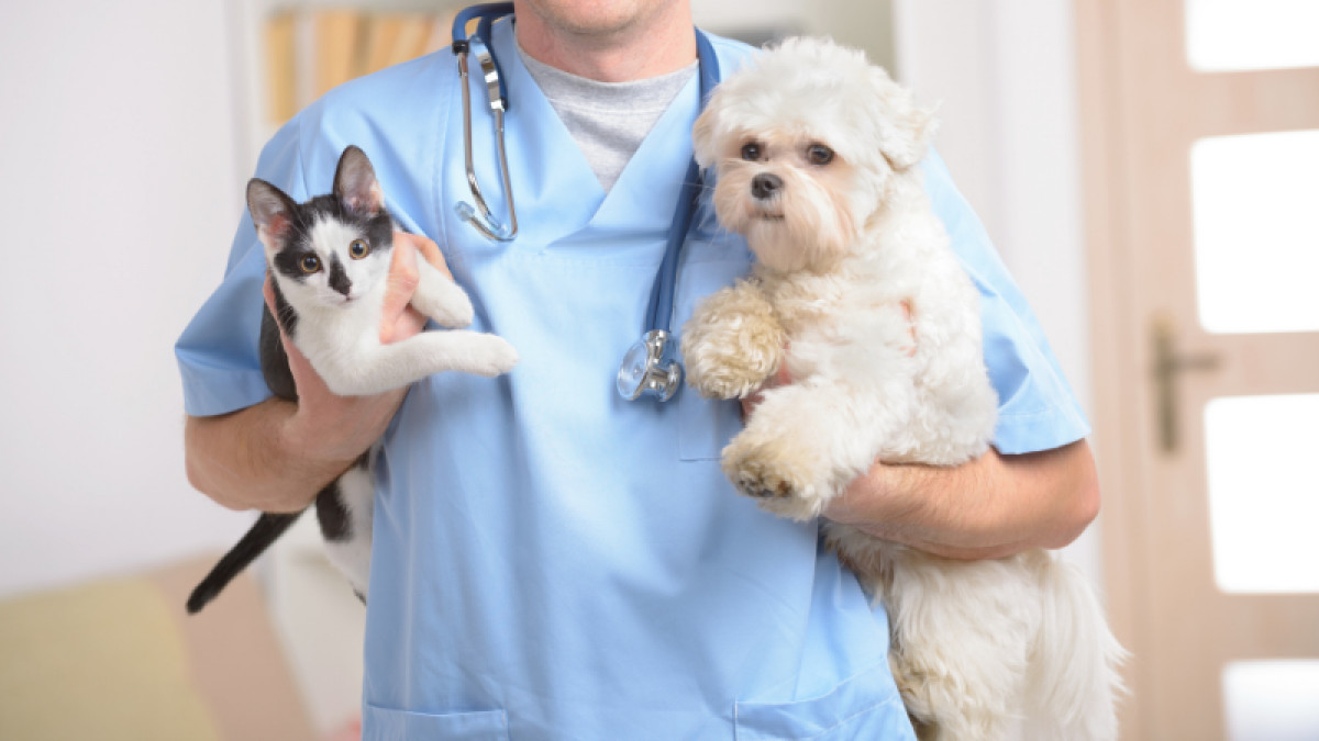 Oconee County Animal Services Rabies Vaccination Clinic