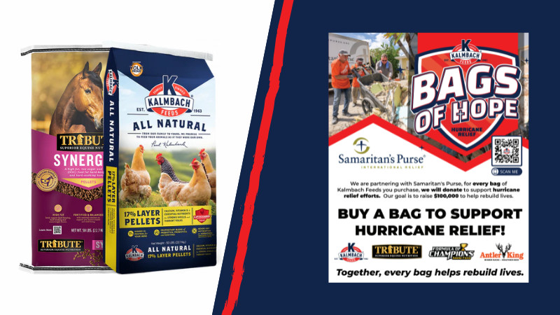 Buy A Bag, Support Hurricane Relief