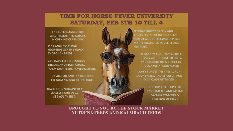 Horse Fever University