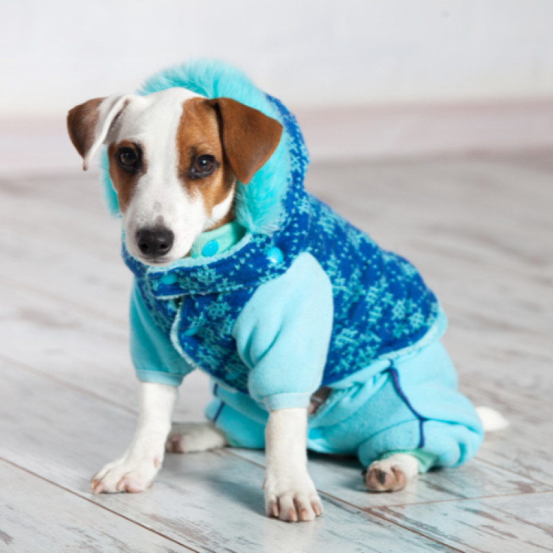 15% Off Any One Clothing Item