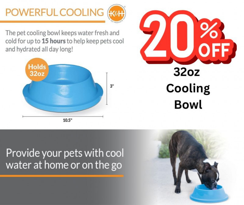 20% OFF 32OZ Cooling Bowl