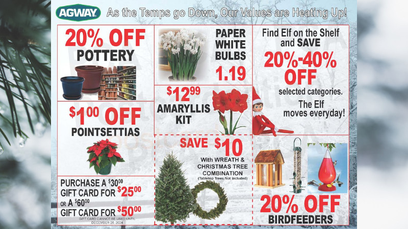 Holiday Savings