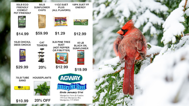 January Hot Sheet Savings