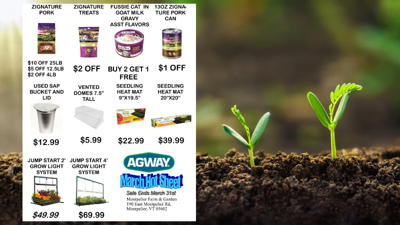 Spring Into Savings!