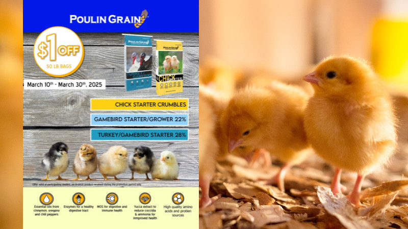 Poulin Grain Sale
