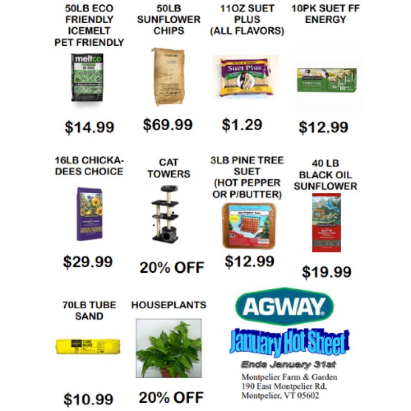 January Hot Sheet Savings