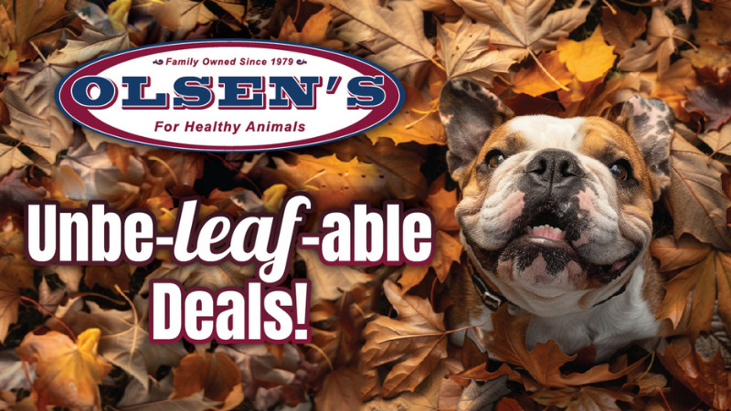 November Un-leaf-able Deals!