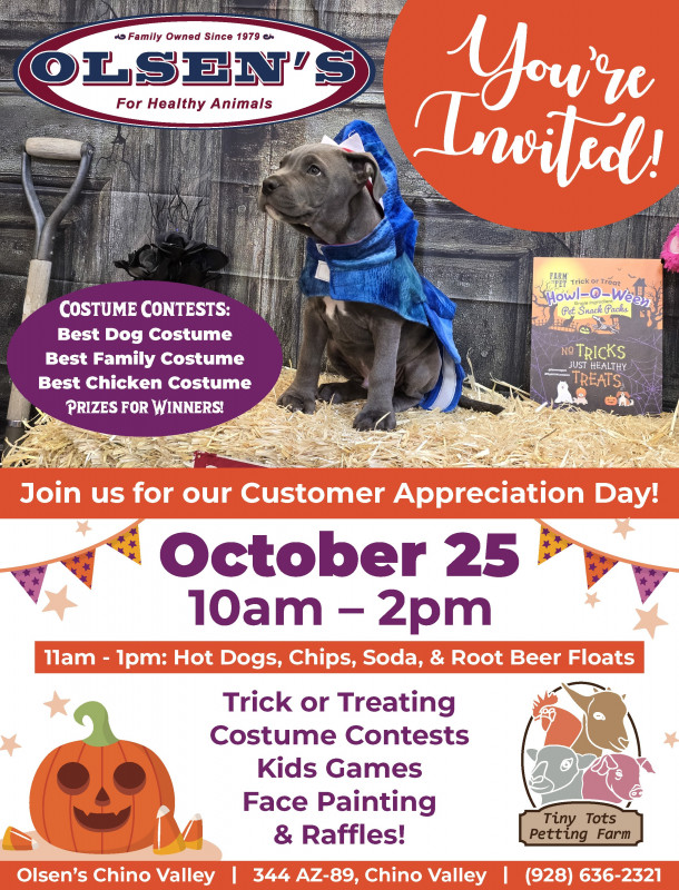 Chino Valley Customer Appreciation Halloween Bash