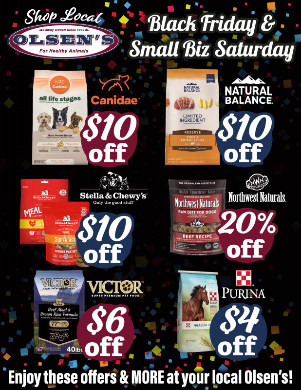 Exclusive Black Friday & Small Business Saturday Promotions!