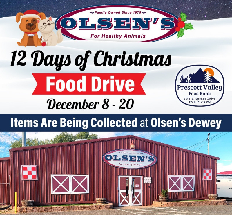 12 Days of Christmas Food Drive