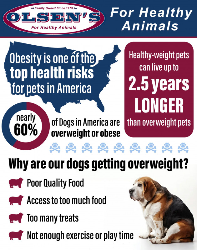 Feed Them Better. Love Them Longer!