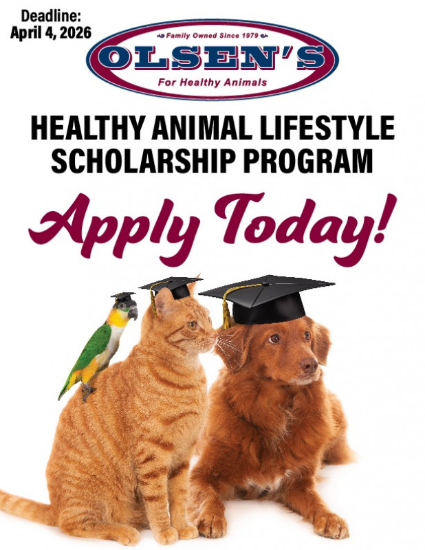 Apply for the Olsen's Scholarship Today!