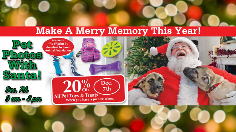 Pet Photos With Santa