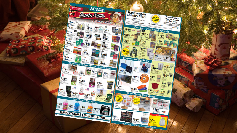 Holiday Delights & Deals