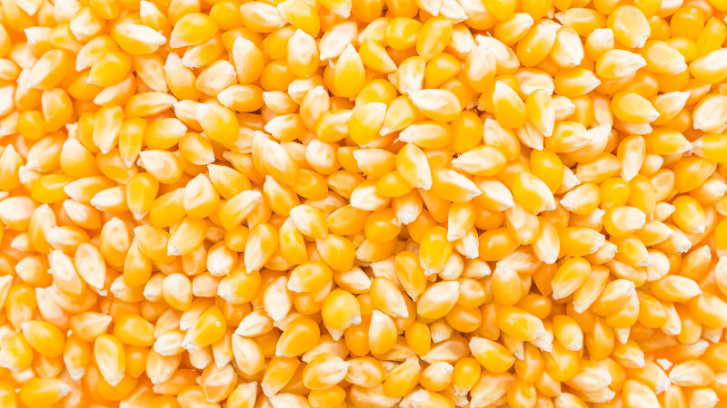 COUPON: 50lb bag Whole Corn