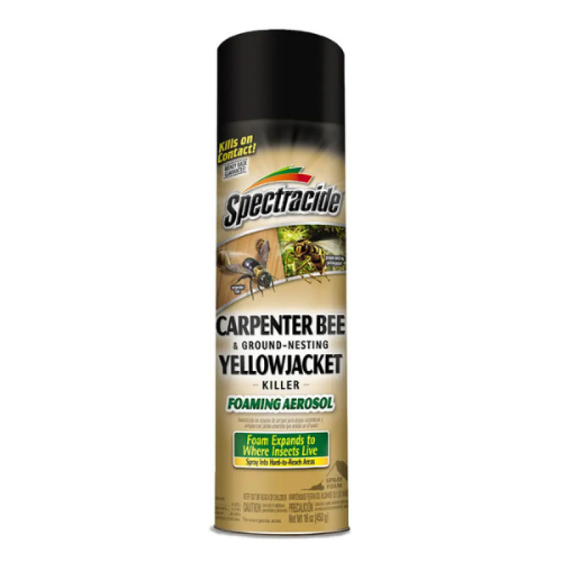COUPON: Spectracide Carpenter Bee & Yellow Jacket Killer Foam $5.99