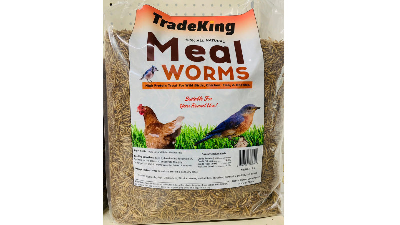 North Central Companies TradeKing Meal Worms 11lb Bag