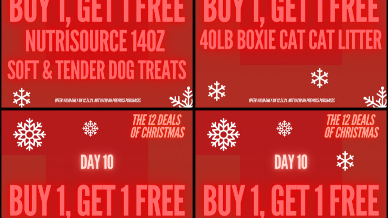 The 12 Deals of Christmas - Day 10