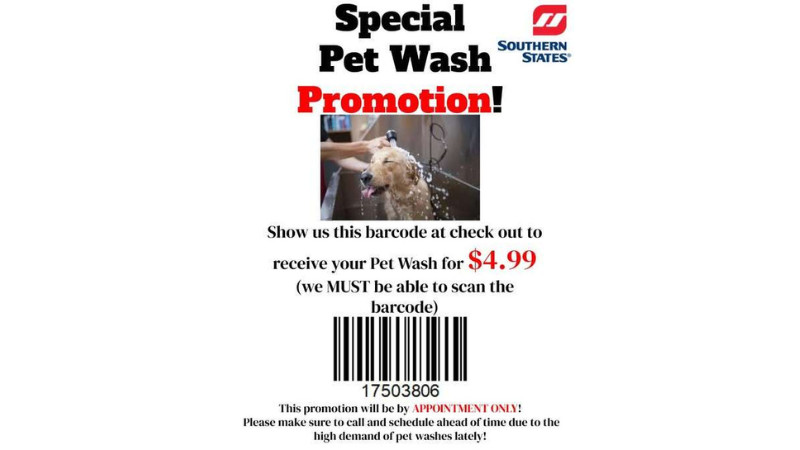 Special Pet Wash Promotion