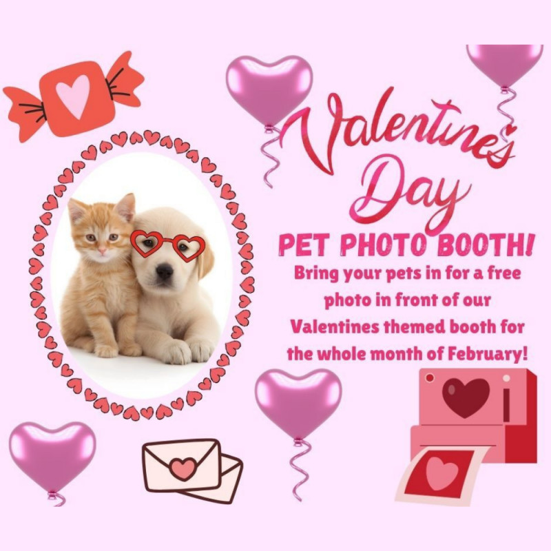 Valentine's Day Pet Photo Booth!