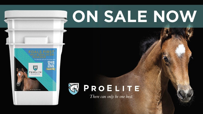 ProElite® Foals First Milk Replacer - Save $10!