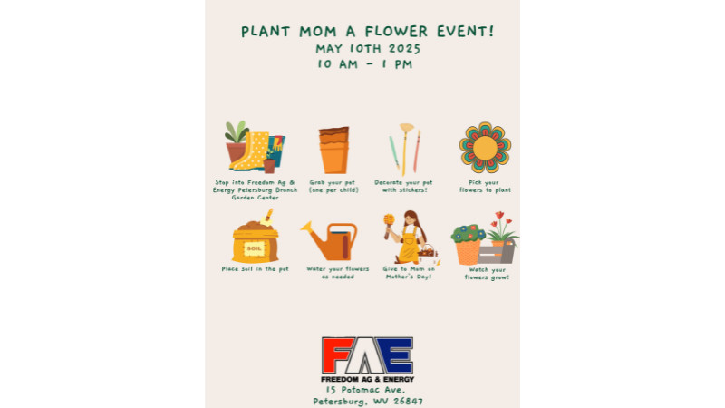 🌸 Plant Mom a Flower! 🌸 (Petersburg location)